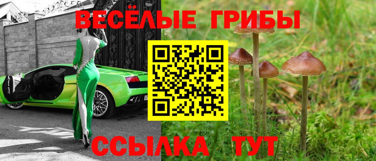 Псилоцибиновые грибы Psilocybe  Галлюциногенные грибы GOLDEN TEACHER  Вход с VPN  Спасск-Дальний 